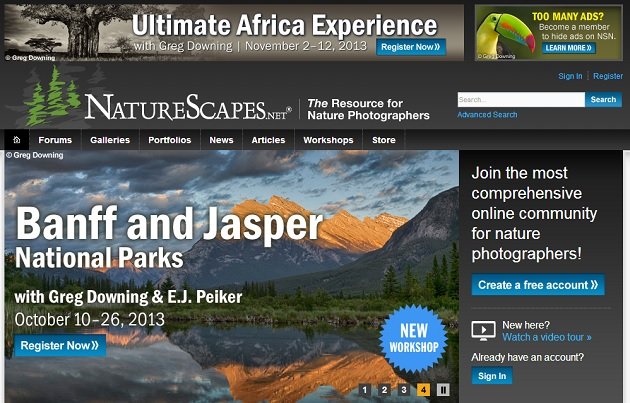 naturescape