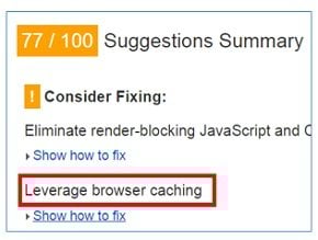 leverage browser caching