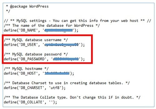 wordpress database