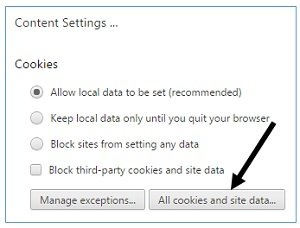 all cookies and site data