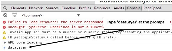 type data layer at the prompt