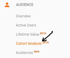 cohort analysis