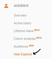 google analytics user explorer report