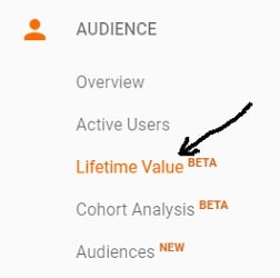 Measuring Customer Lifetime Value in Google Analytics