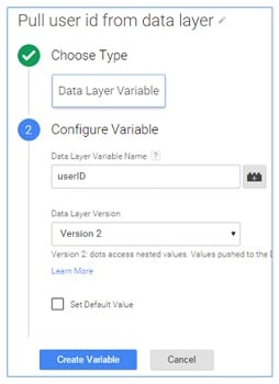 user id data layer variable