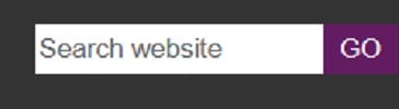 search box 1
