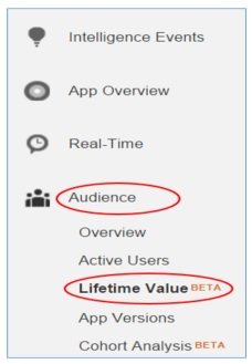 lifetime value report