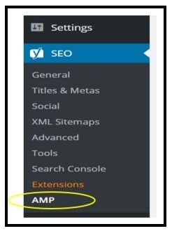 seo amp