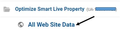 all website data view