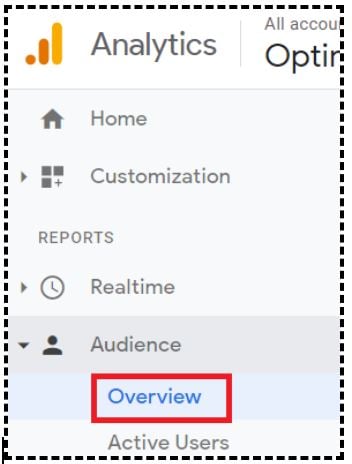 ‘Audience Overview’ report: