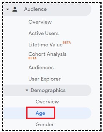 Navigate to the ‘Demographics: Age’ report