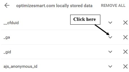 Google Analytics cookies: _ga cookie, _utmb, _gat - Tutorial 10 ga cookies click ga cookie 1