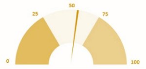 gauge chart (also known as speedometer chart)