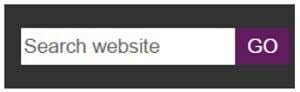 Google Analytics 4 training & tutorial with FREE GA4 ebook 33 search box website