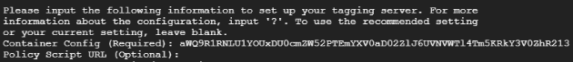 server side tagging command prompt 5