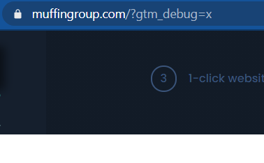 Debug mode