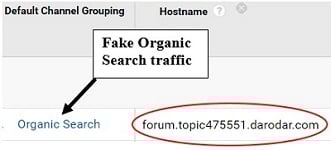 remove referral spam fake organic traffic 1